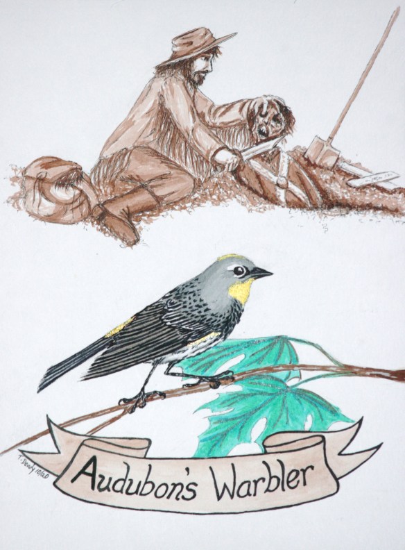 Audubon's Warbler in the foreground with Audubon decapitating a solider behind. Art by Teresa Dendy